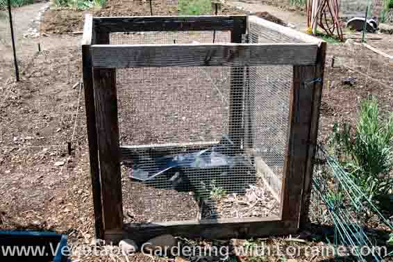 Large compost bin, made of wood and wire mesh, in a community garden, early  summer in Illinois, for themes of environment, recycling, organic  fertilization